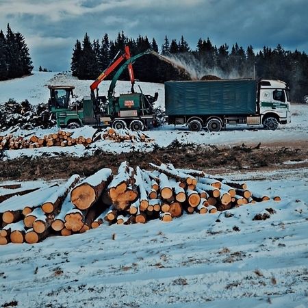Ein Lkw steht neben einem Holzstapel, der aus mehreren großen Baumstämmen besteht.