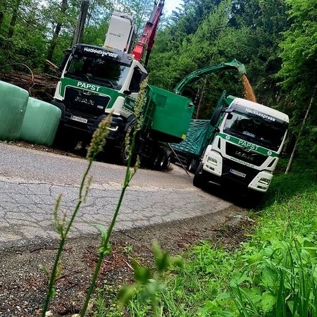 Zwei Lastwagen stehen auf einer Straße neben einem Wald.