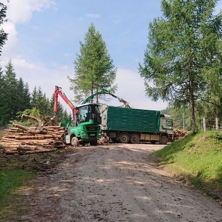 Ein Lkw steht auf einem Schotterweg in der Nähe eines Waldes, umgeben von Bäumen und natürlicher Vegetation.