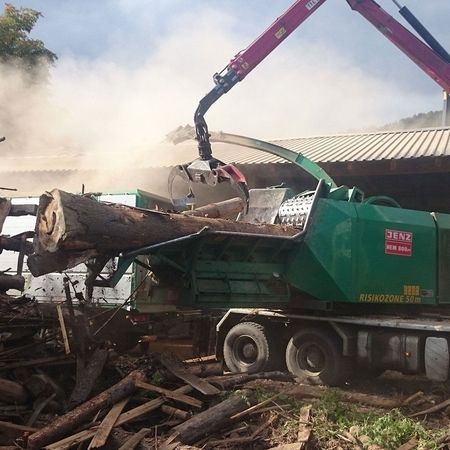 Ein großer Lastwagen lädt Holzstämme in einen großen Haufen.