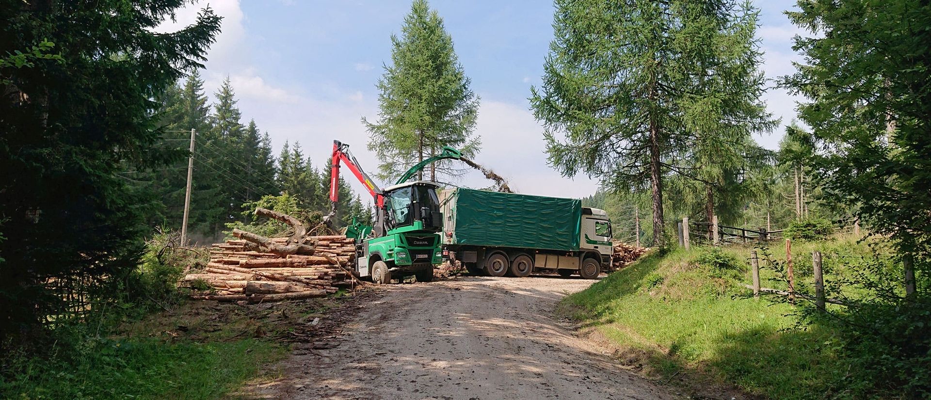 Kräne laden Holzstämme auf einen LKW.